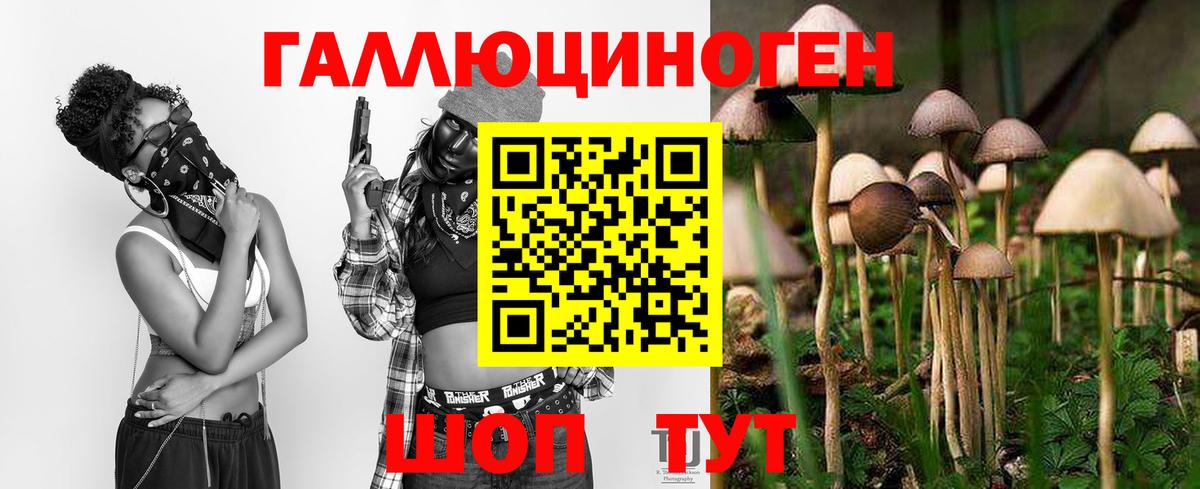 Галлюциногенные грибы Cubensis Светлоград