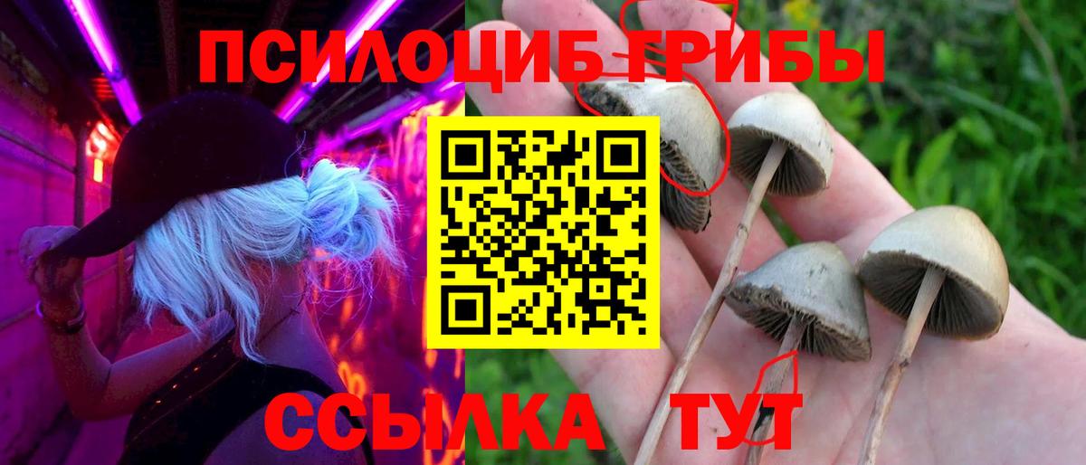 Галлюциногенные грибы мухоморы  Вход с VPN  Светлоград  Псилоцибиновые грибы Magic Shrooms 